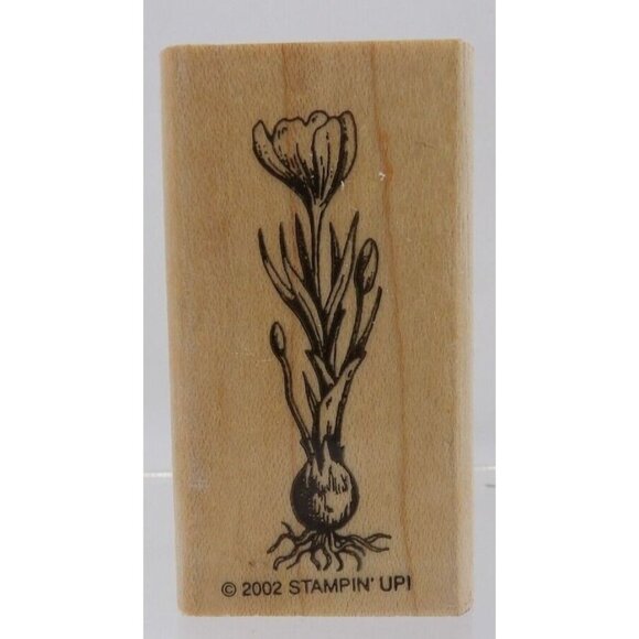 Crocus with Bulb Stamp ©2002 Stampin' Up! Detailed - Picture 1 of 2